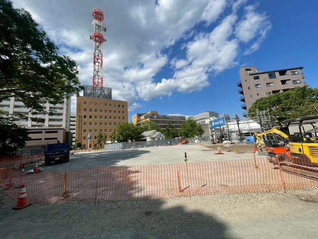 【静岡県】沼津市中央公園 施工前