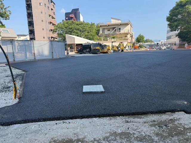 【静岡県】沼津市中央公園 施工前
